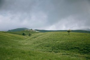 13327652_1735766750014567_5976162440060582724_n